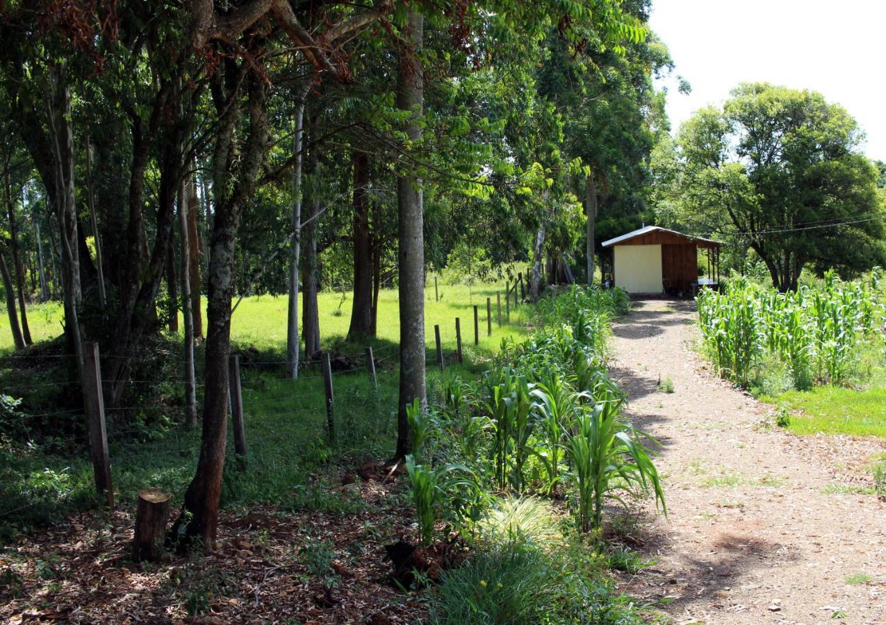 Cabana Na Serra Gaucha! Picada Cafe Ngoại thất bức ảnh